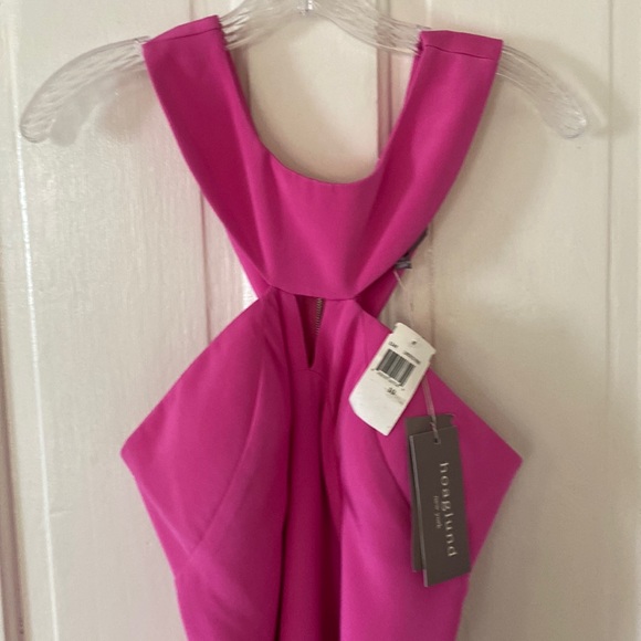 COPY - Hoaglund Pink Dress NWT 10 - Picture 5 of 7